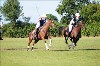 UKPA NC SAT_2141